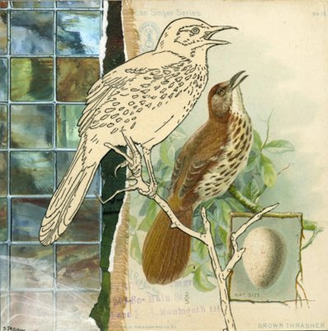 Sara Pearce, Out On A Limb: 23, mixed-media collage: antique American Singer songbird series trade card (Singer Manufacturing Co., 1898), book spine lining; vintage Audubon coloring book illustration (circa 1930s); recycled glass catalog and greeting card; ink, acrylic sealer, acrylic varnish. 6 x 6 in. on birch panel, 2012.