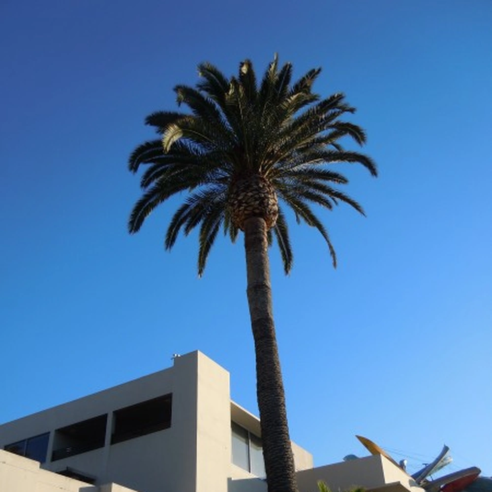 San Diego Art Museum. Photo credit: Cynthia Kukla.