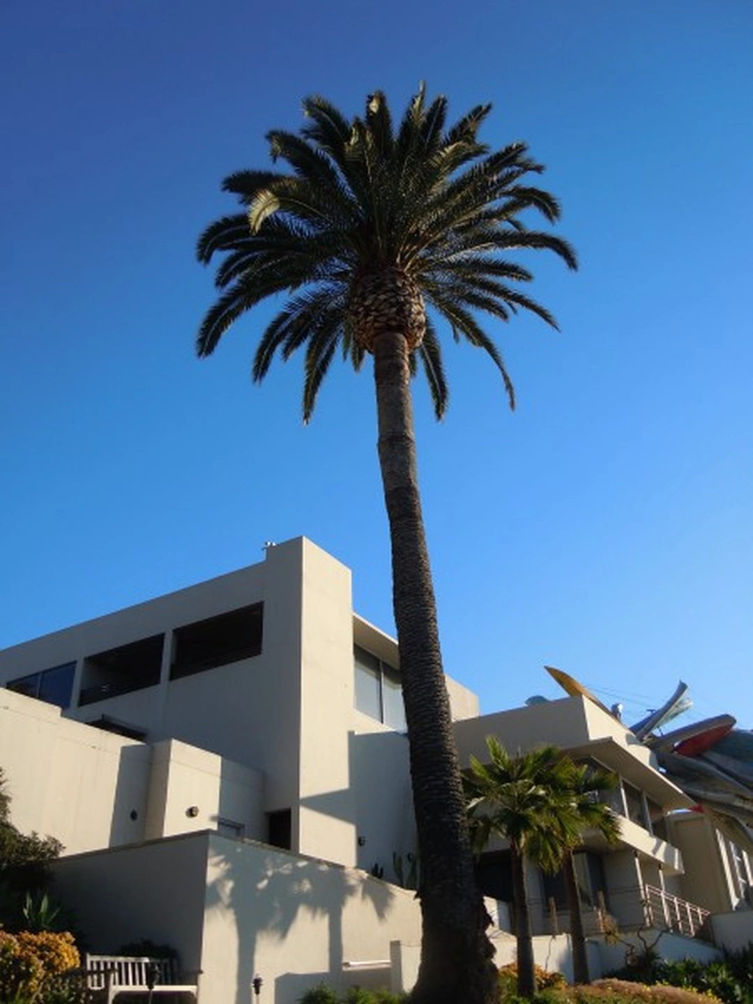 San Diego Art Museum. Photo credit: Cynthia Kukla.