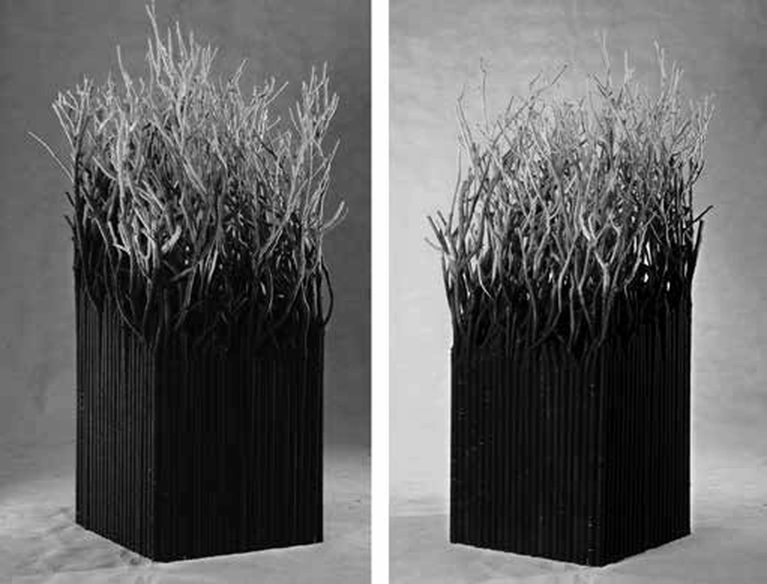 Ren Guanghui, Washed Landscape, 2006, branches and woolen yarn, 66 x 66 x 180 cm.