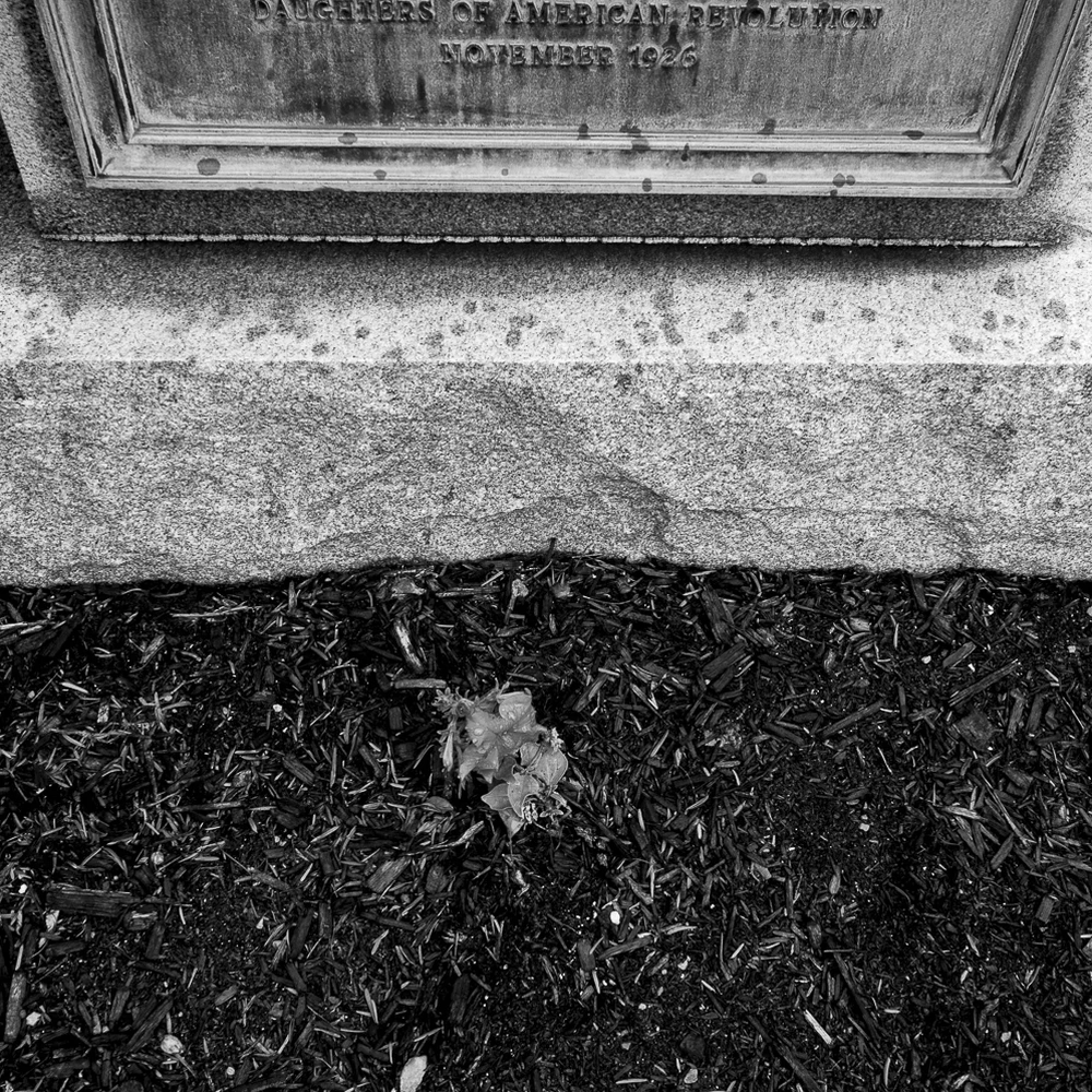 Matthew Albritton, "Hayes Birthplace: Marker," 2007, digital capture, archival digital print, 6 x 9 in. Photo courtesy of Taft Museum of Art.