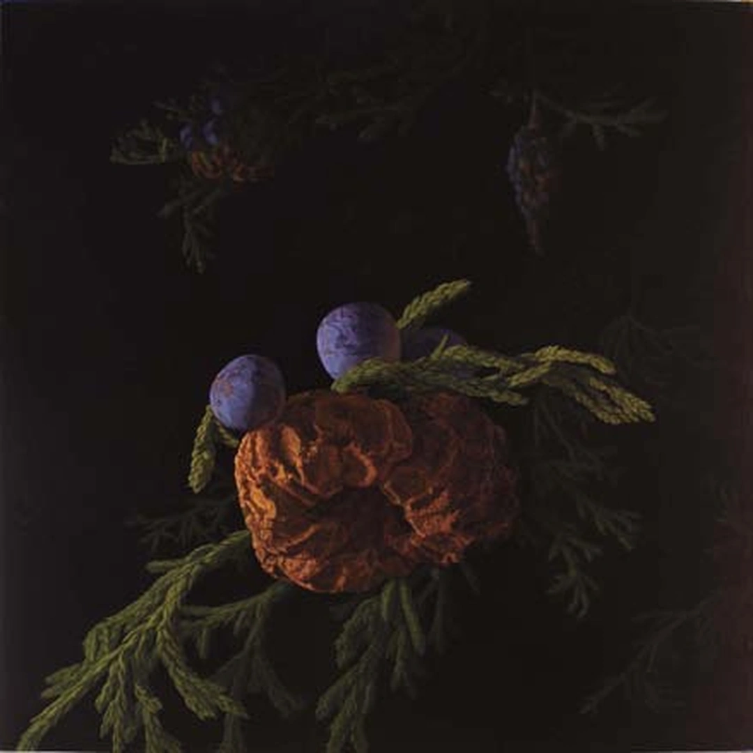 Nathan Sullivan, "Form # 22," oil on panel, 2011.