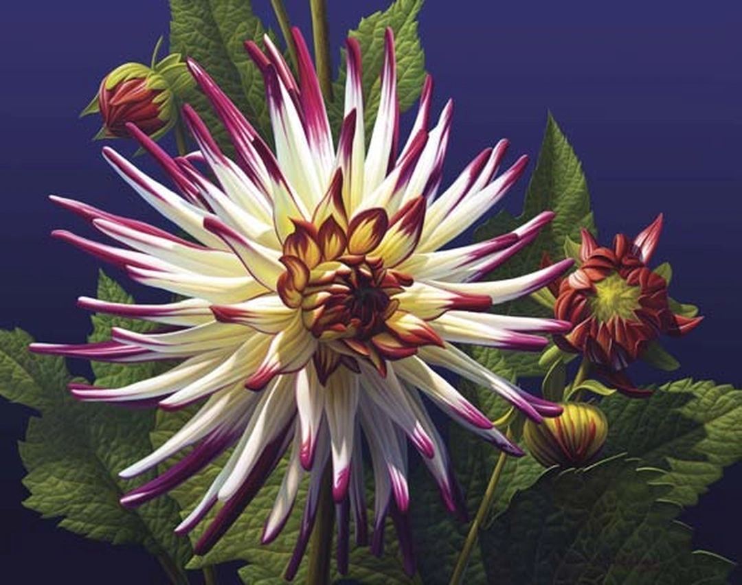 Ernest Viveiros, "Spiked Dahlia," oil on canvas, 2011.