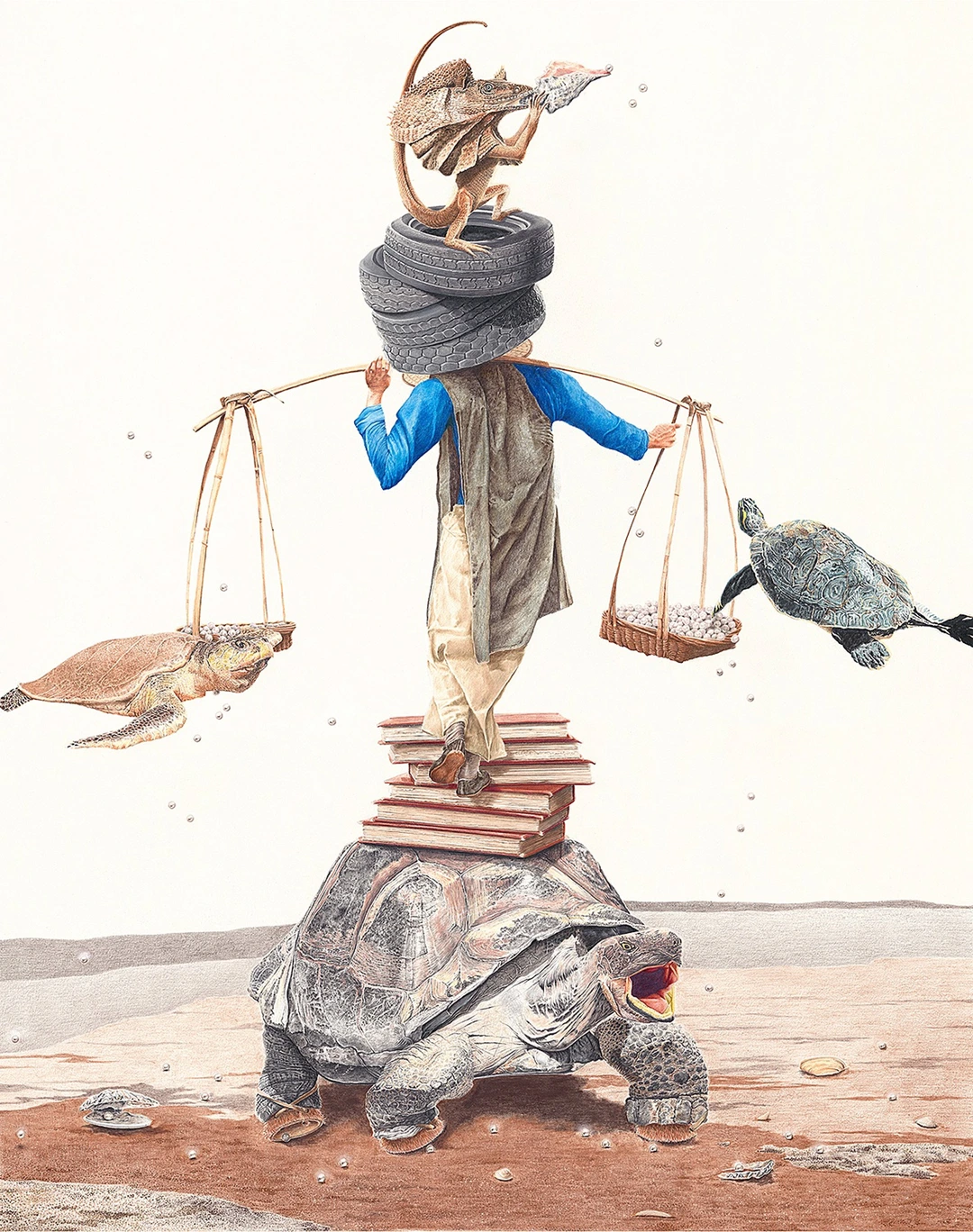 Paul Van Heest, Shell Games, colored pencil, graphite, and charcoal, 2012