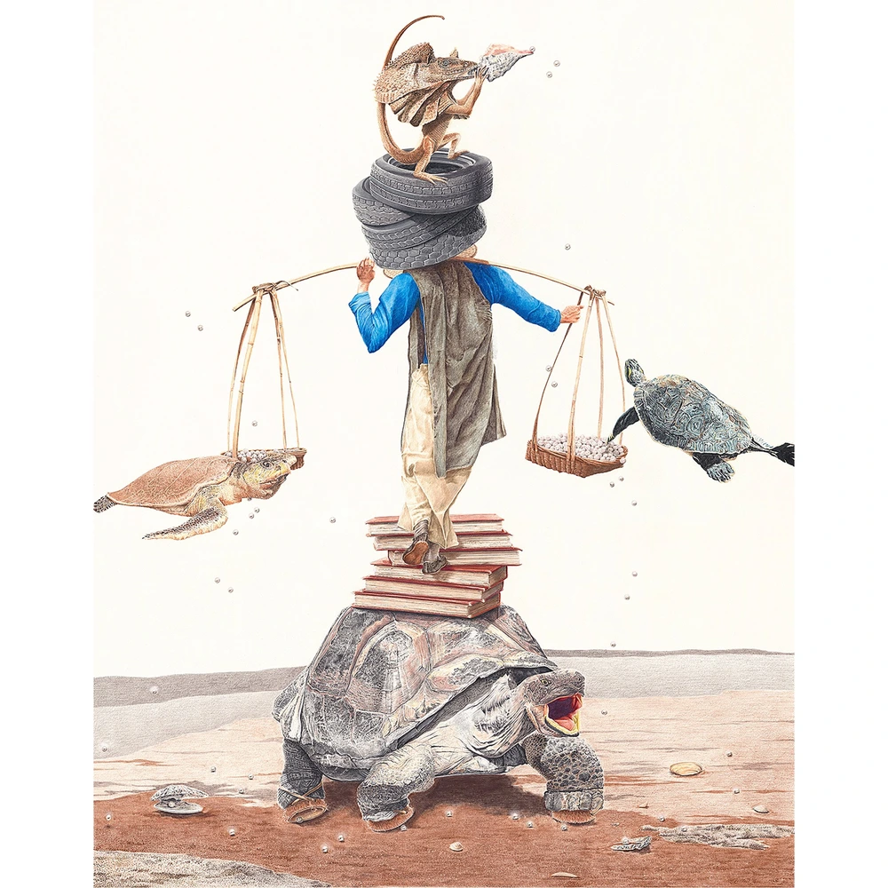 Paul Van Heest, Shell Games, colored pencil, graphite, and charcoal, 2012