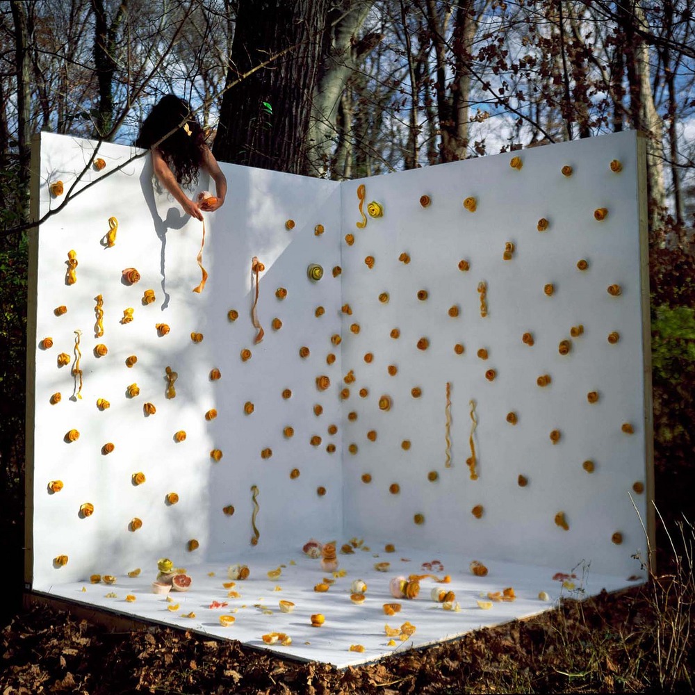 Figure 1, "Maman", Sheida Soleimani, 2012, Digital Print (Digitally enhanced.)