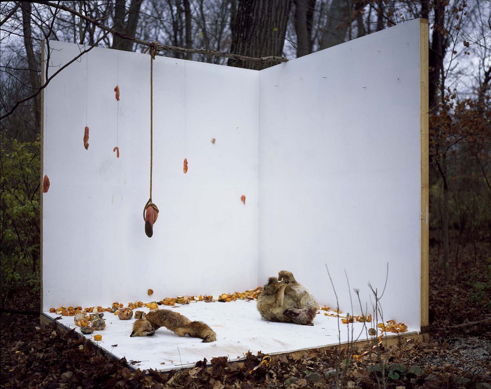 Figure 4, "Mr. Jones and his dog Bill", Sheida Soleimani, 2012, Digital Print