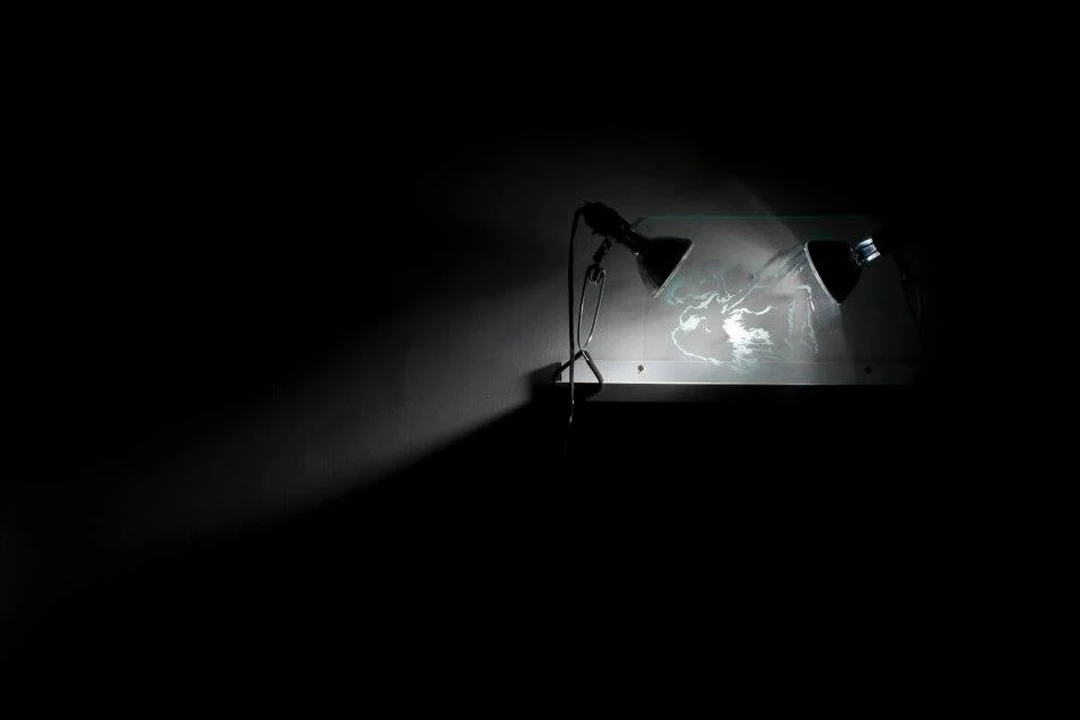 Yelena Zhelezov, “Daedalus Encore,” paint,glass, light.