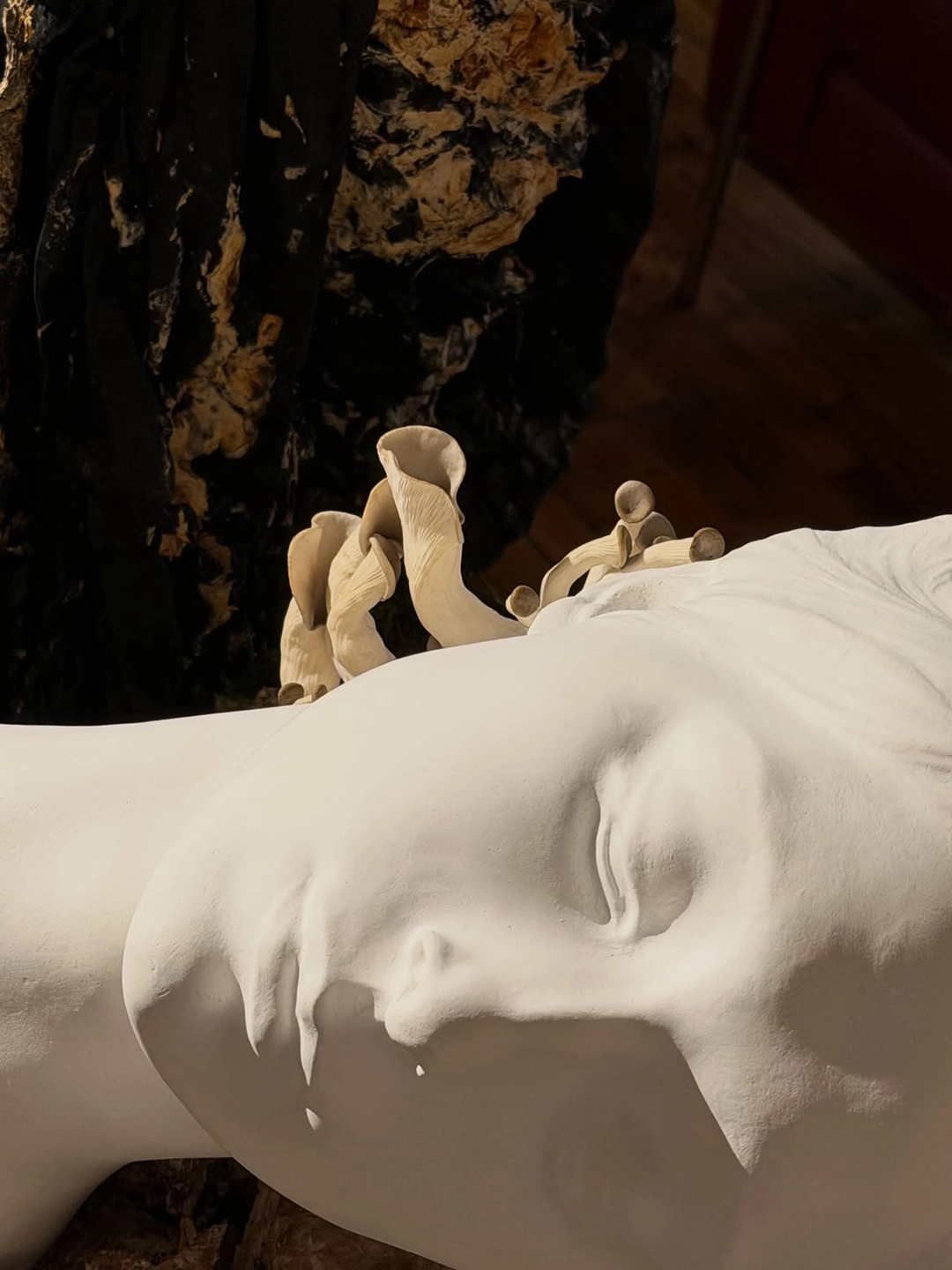 Mushrooms: the original Forbidden Fruit. Living mycelium sculpture by Kirsten Tingle