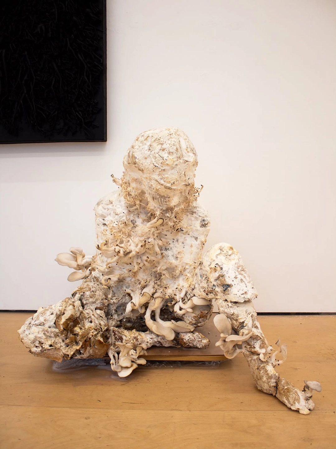 Kirsten Tingle, living mycelium sculpture, installation view, Forbidden Fruit, Fugue Gallery, New York, 2026.