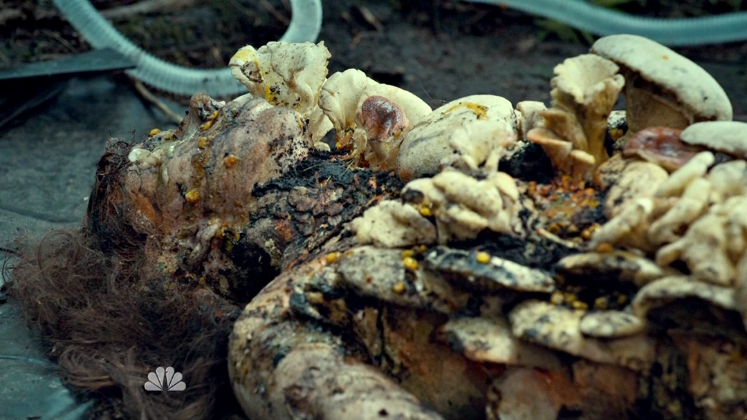Still from Hannibal, Season 1, Episode 2, “Amuse-Bouche” (2013).
