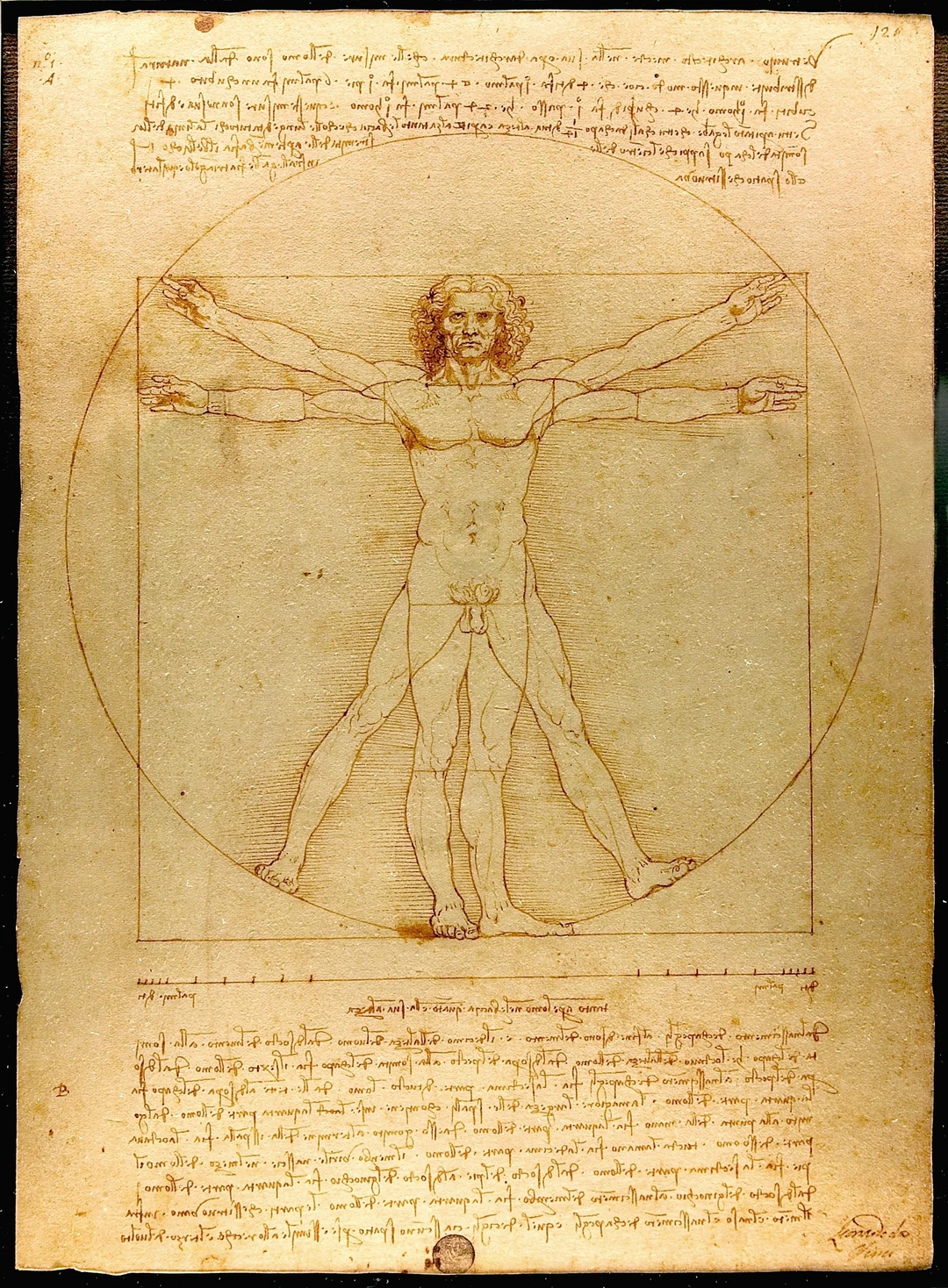 The Canons of Vitruvius and Leonardo. Leonardo da Vinci’s Vitruvian Man, c. 1490, Gallerie dell’Accademia, Venice; photograph by Luc Viatour, public domain, via Wikimedia Commons. (Related image located during this archive's reconstruction.)