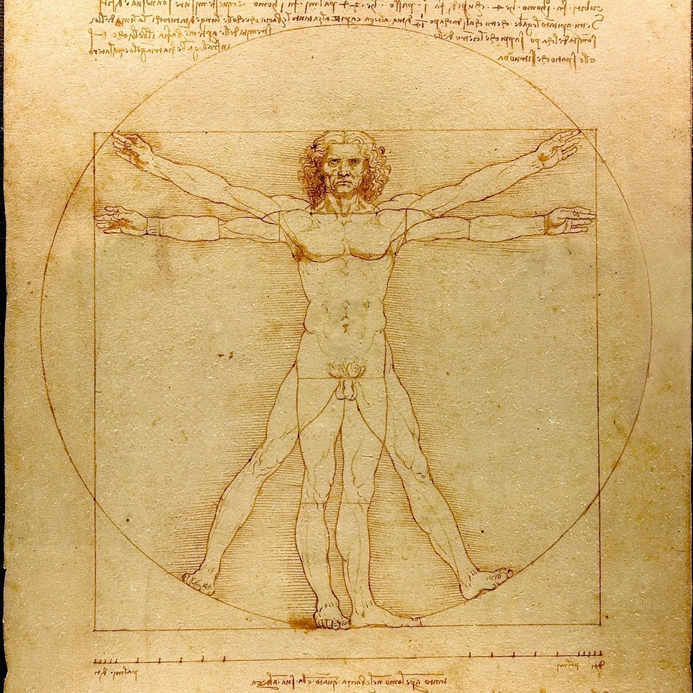 The Canons of Vitruvius and Leonardo. Leonardo da Vinci’s Vitruvian Man, c. 1490, Gallerie dell’Accademia, Venice; photograph by Luc Viatour, public domain, via Wikimedia Commons. (Related image located during this archive's reconstruction.)