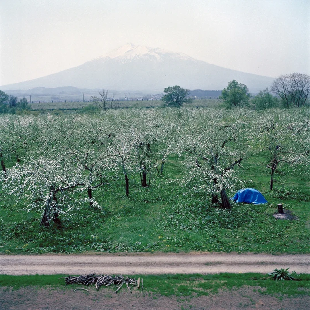 Jane Alden Stevens, Orchard and Mt. Iwaki, Spring, Aomori Prefecture, from the series Seeking Perfection: Traditional Apple Growing in Japan (2006–2009), exhibited in Landscapes of the Mind at the YWCA Women’s Art Gallery. Photograph from the artist’s website. (Related image located during this archive's reconstruction.)
