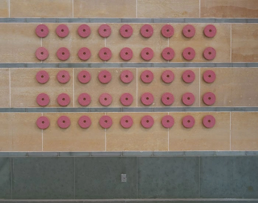 Forty-five pink circular discs are arranged in a regular grid on a tan gallery wall.