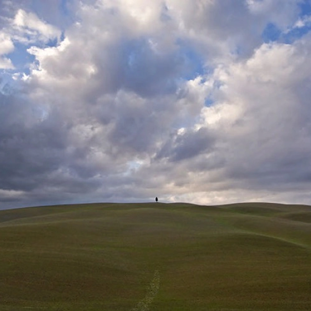 A solitary small tree stands on the crest of rolling green hills beneath a broad sky filled with gray and white clouds.