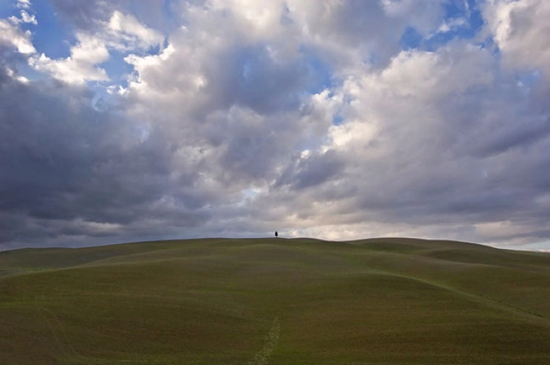 A solitary small tree stands on the crest of rolling green hills beneath a broad sky filled with gray and white clouds.
