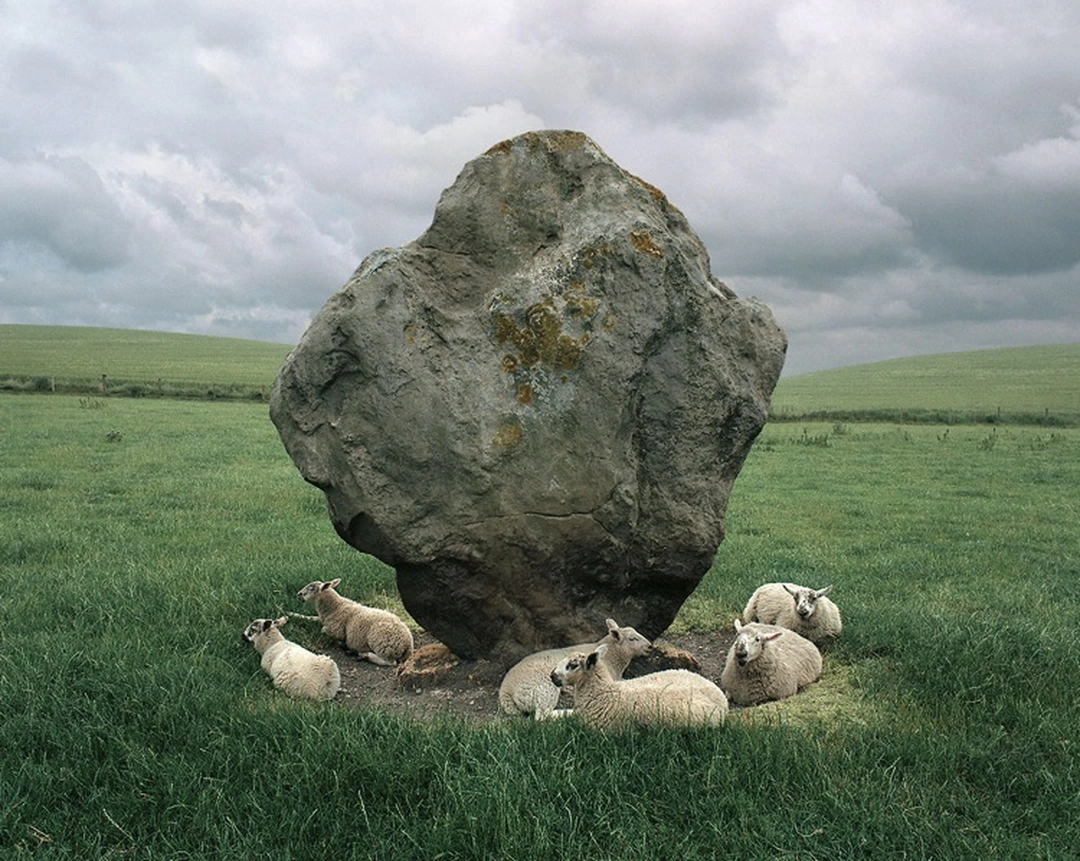 Six sheep rest in green grass around a large rough standing stone beneath a gray overcast sky.