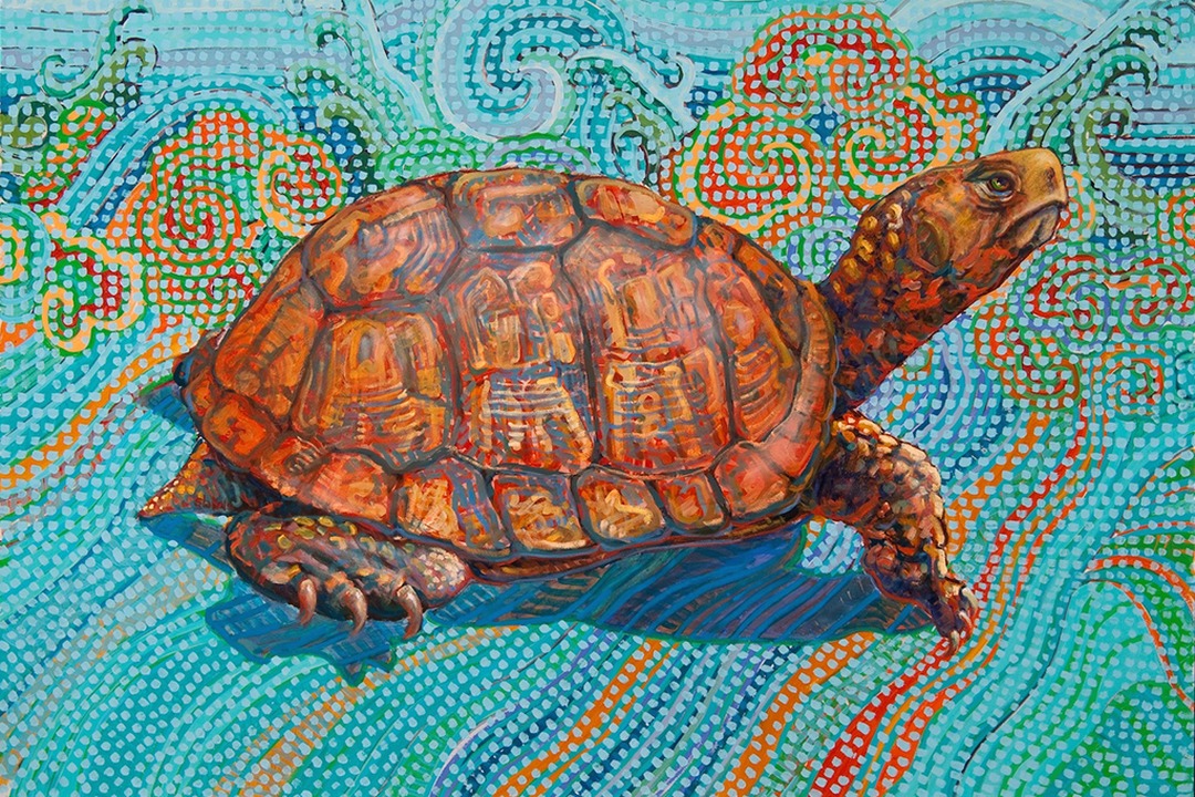 Tortoise seen from above with its head to the right on a blue mosaic-patterned background. Leslie Shiels, Fraternal Turtle Right.