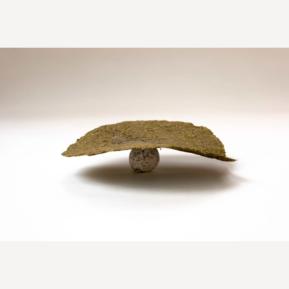 A shallow curved brown plant-fiber form resting on a small pale rounded support against a light background.