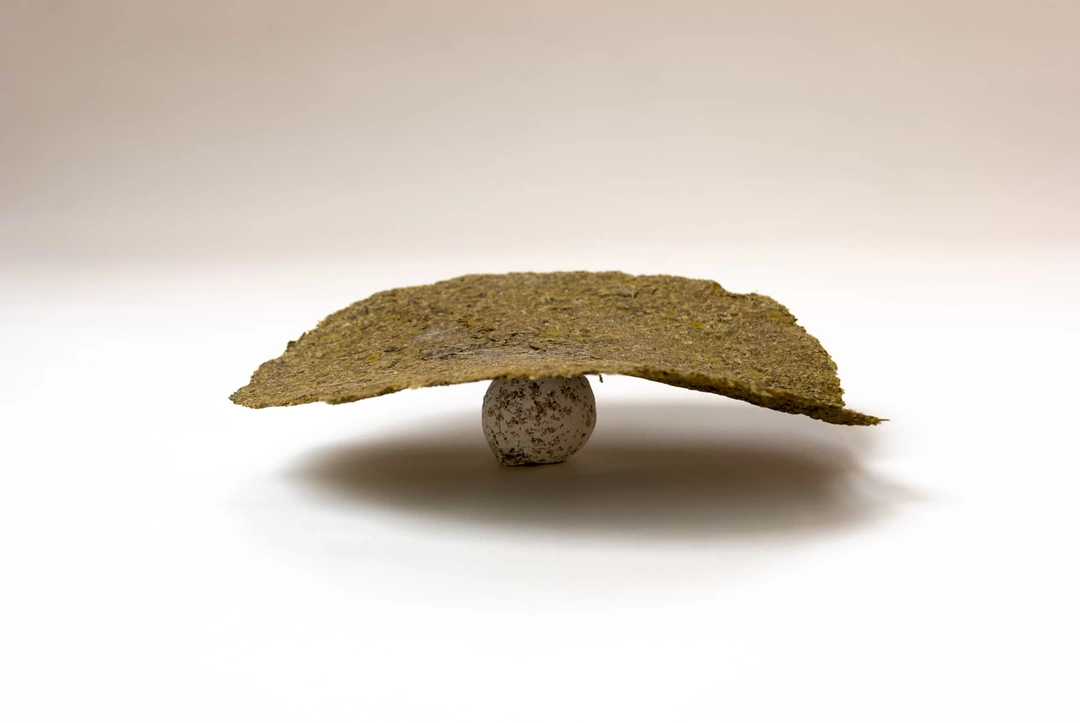 A shallow curved brown plant-fiber form resting on a small pale rounded support against a light background.