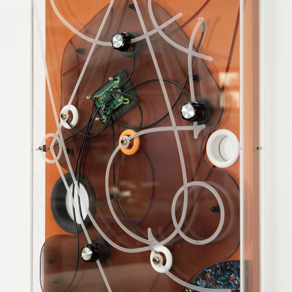 Detail of Scott Carter's Causation: electronic components, knobs and tubing on a copper-toned panel in a white frame.