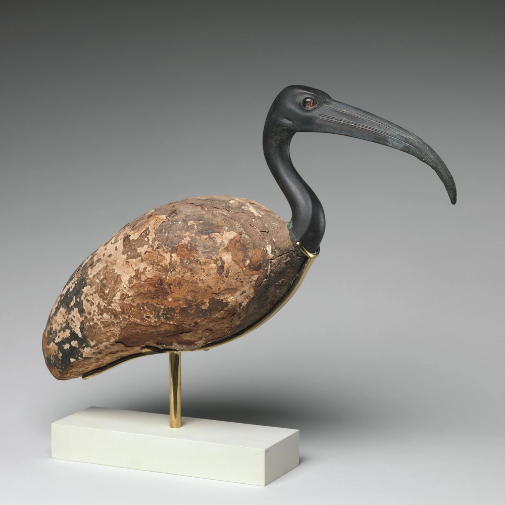 An ancient ibis statue with a dark bronze head and long curved beak, a weathered wooden body, and thin legs on a pale rectangular stand.