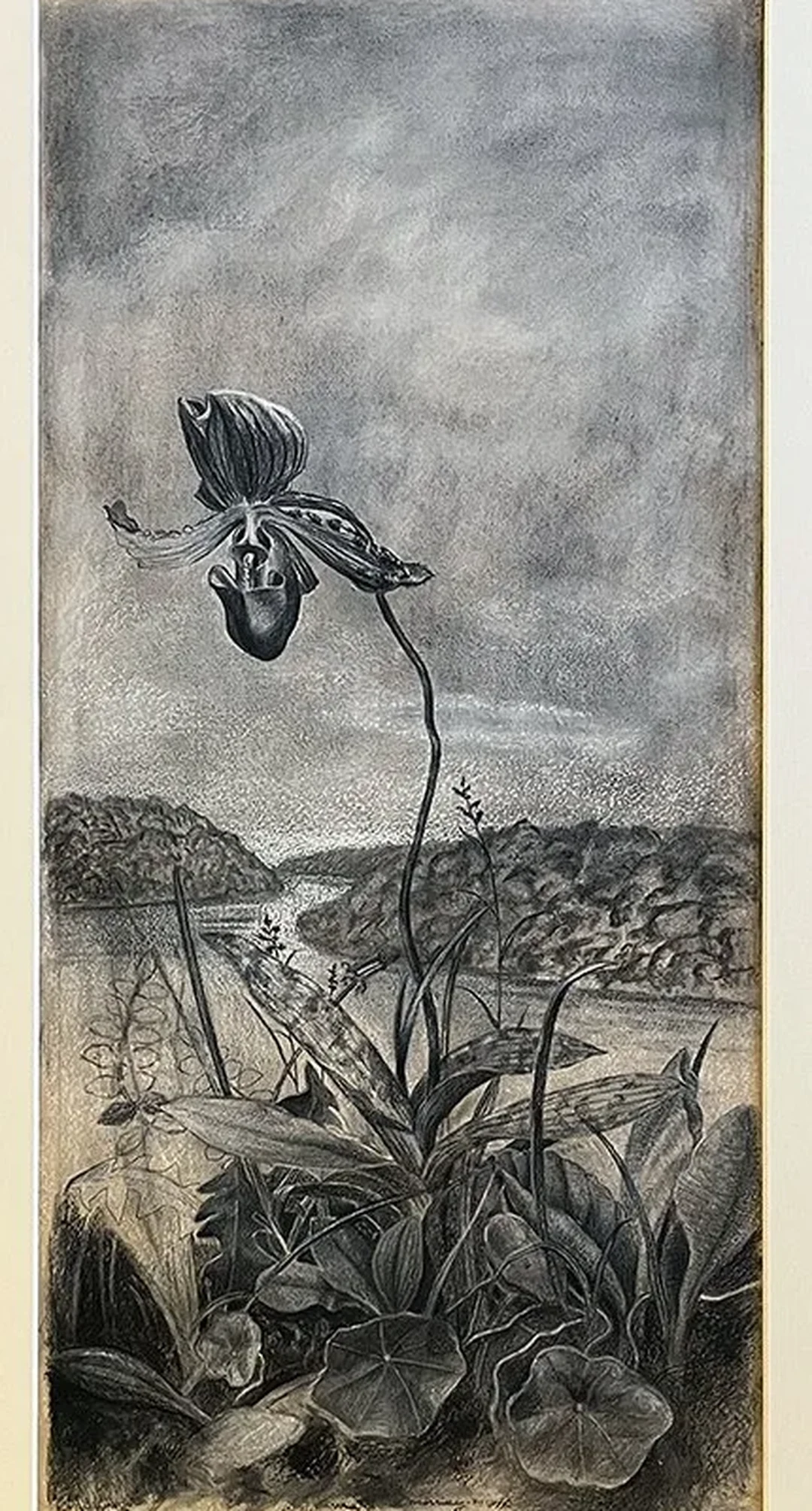 Charcoal study of an orchid with a river landscape behind it.