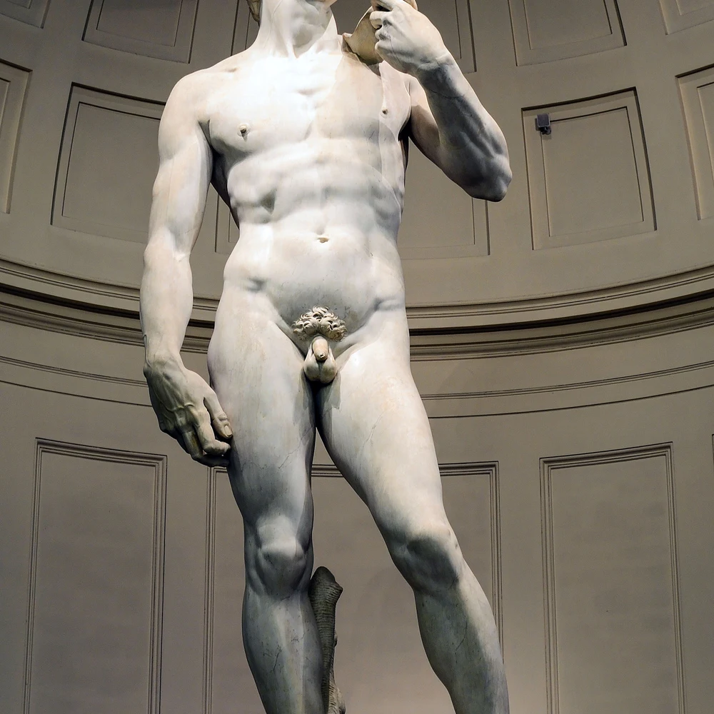 Michelangelo's marble statue of David, full view, in Florence.
