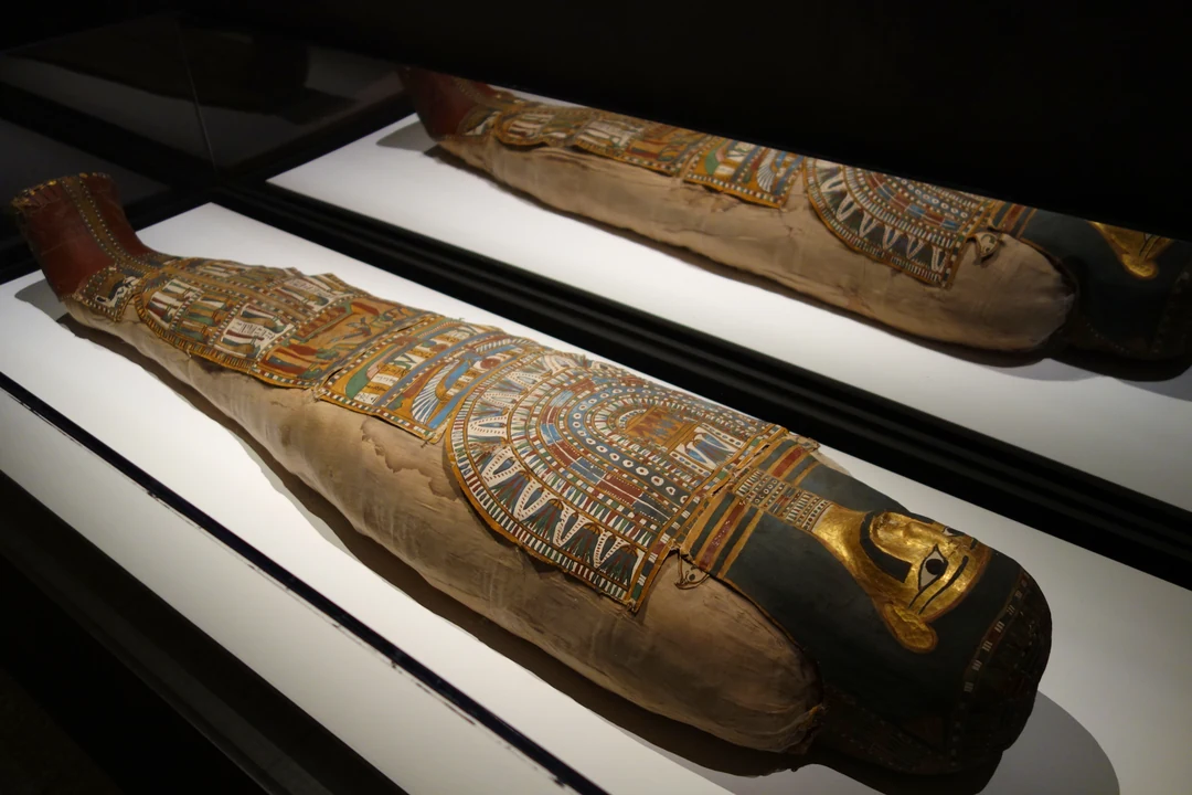 Mummified remains of an adult male, Egypt, Ptolemaic period, 332-30 B.C.E., human remains with painted linen. Cincinnati Art Museum, accession no. 1922.4. Photo by Daderot, CC0, via Wikimedia Commons.