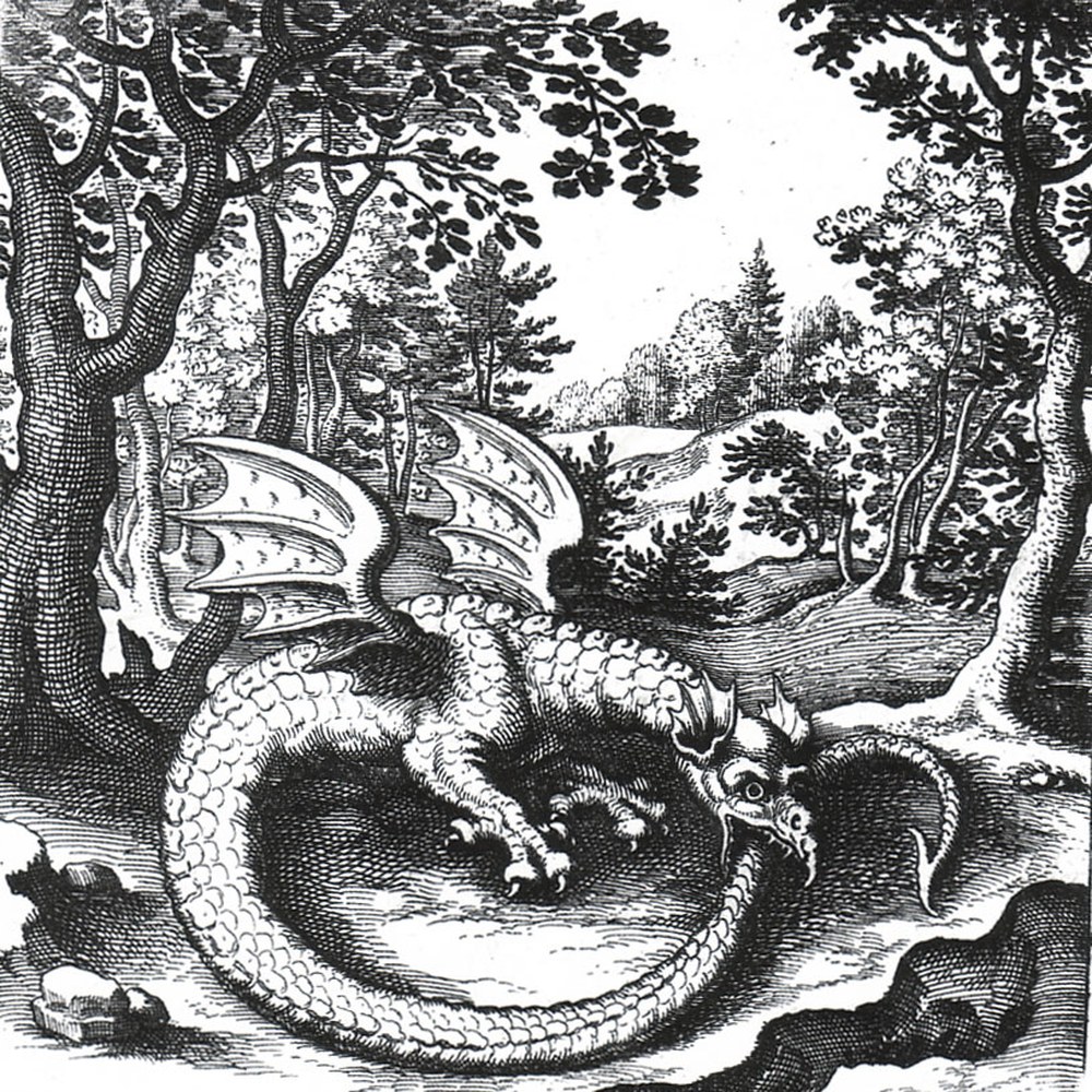 Engraving of a winged dragon coiled in a circle biting its own tail, in a wooded landscape.
