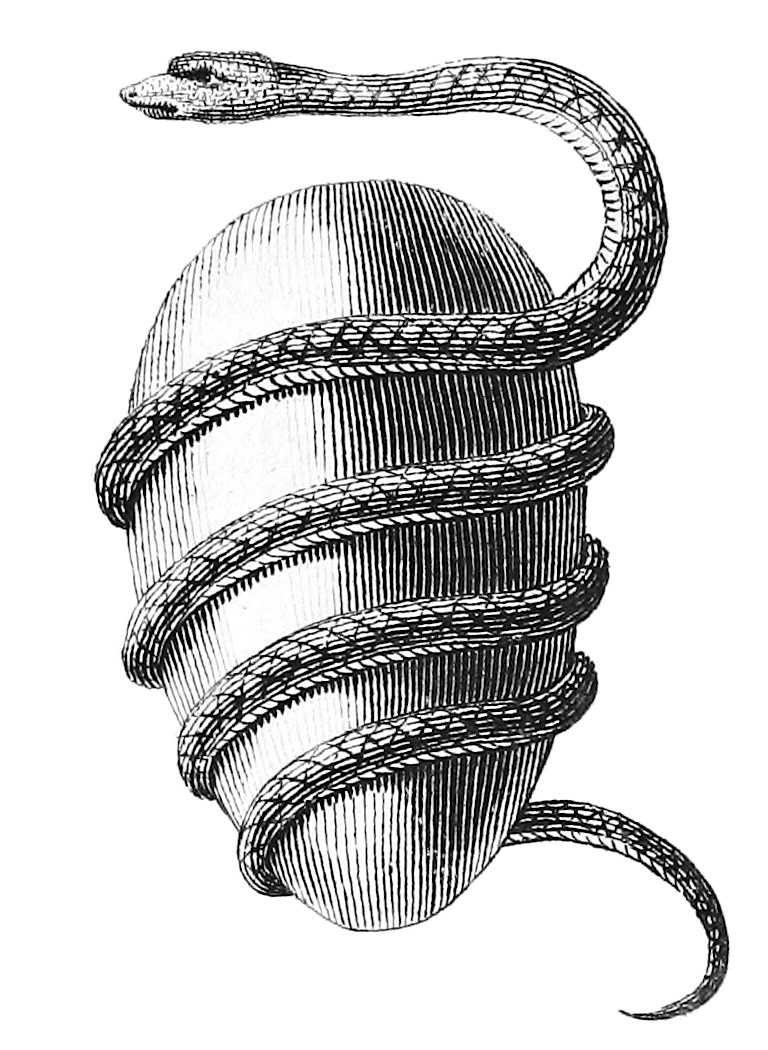Engraving of a serpent coiled around a large egg.