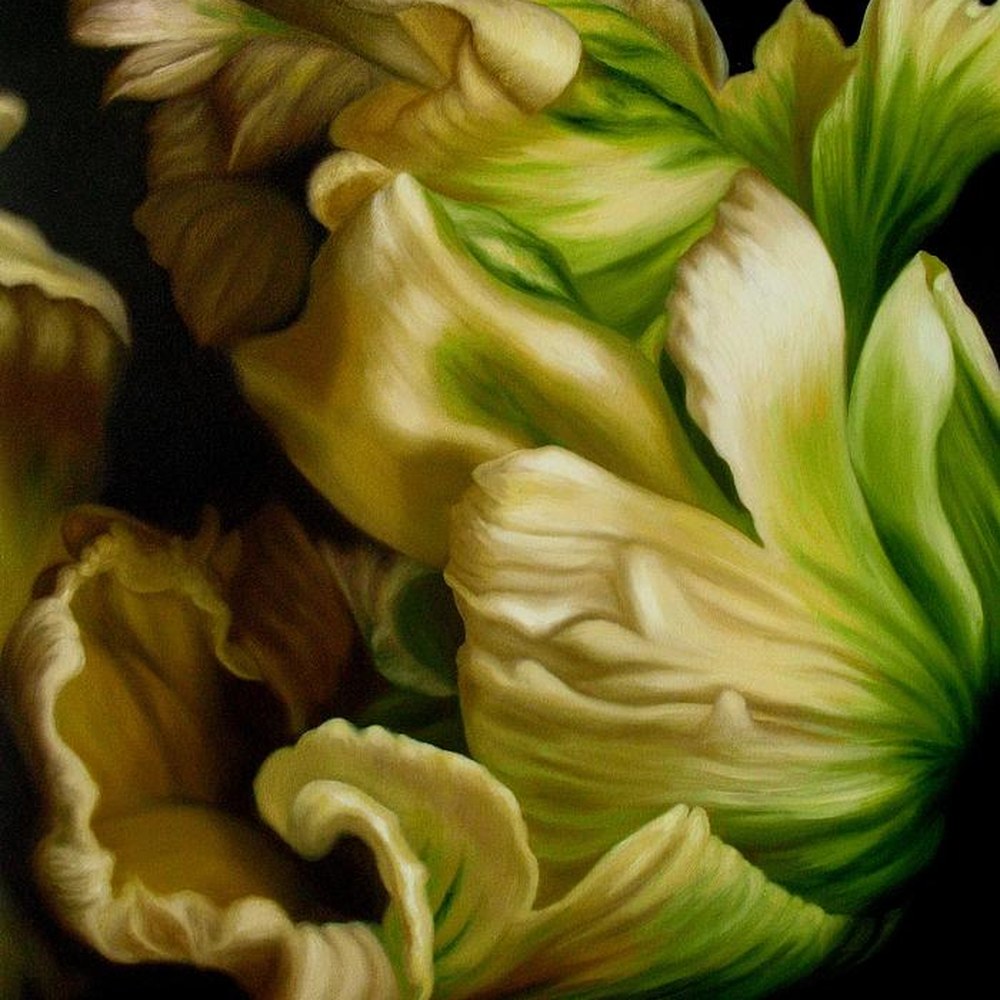 Alison Shepard, Enfolded, painting of white and green flowers.
