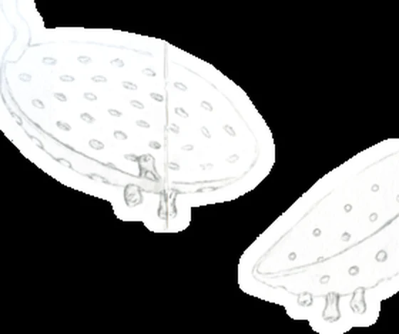Two colorless cast-glass ladles whose bowls are pierced with holes like sieves.