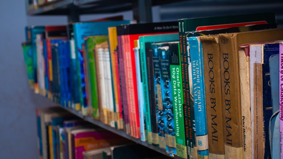 Colorful book spines lined up on library shelves.