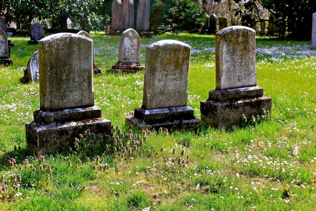 Weathered gravestones among grass and small white flowers in Lexington Cemetery.