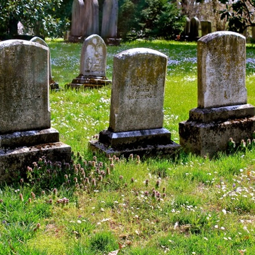 Weathered gravestones among grass and small white flowers in Lexington Cemetery.