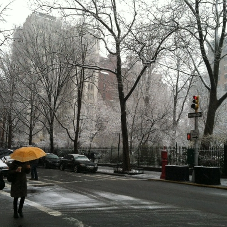 Square crop of a snowy city street with bare trees and pedestrians carrying umbrellas