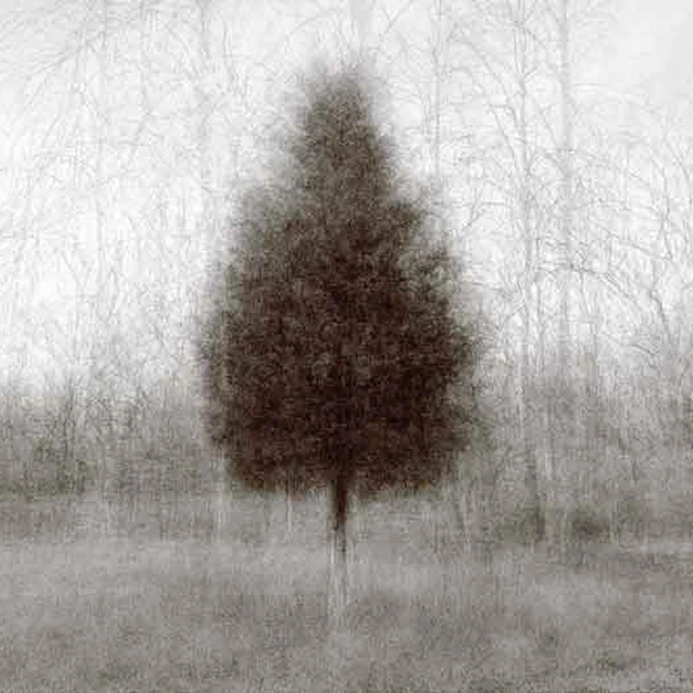 Solitary cedar tree centered in a misty winter field, rendered in soft black-and-white with layered multiple-exposure blur.