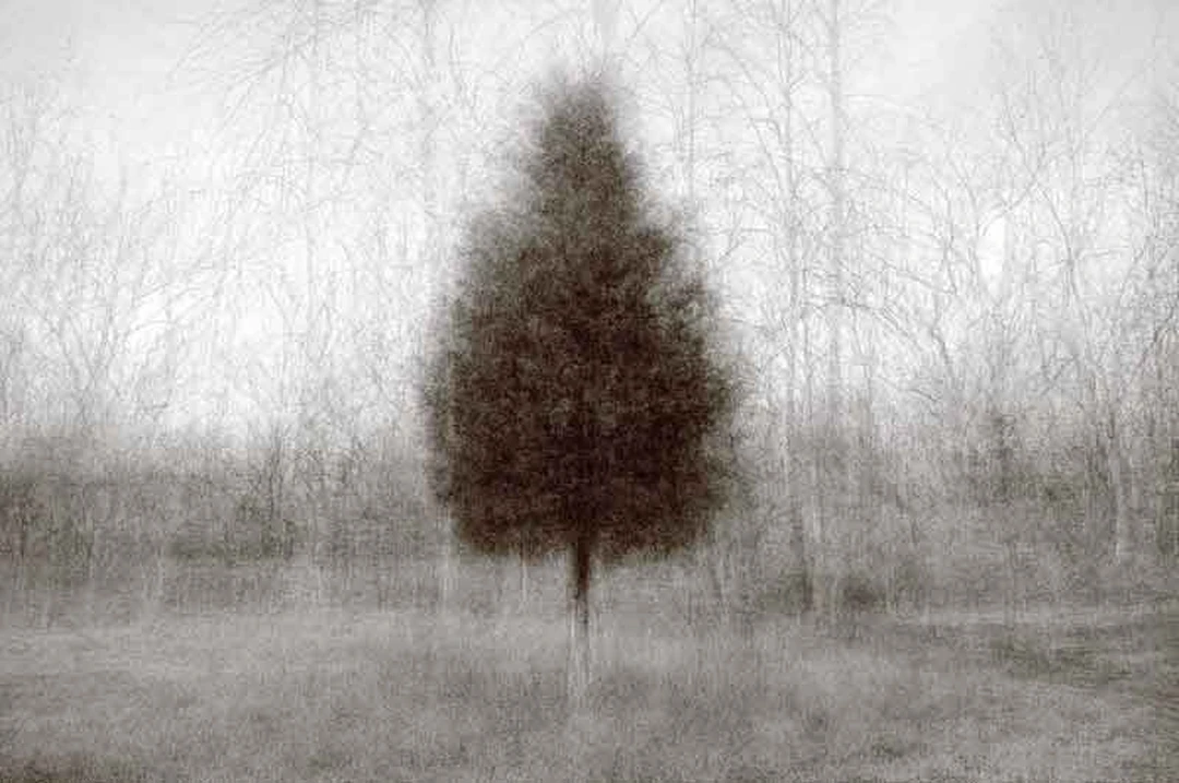 Solitary cedar tree centered in a misty winter field, rendered in soft black-and-white with layered multiple-exposure blur.