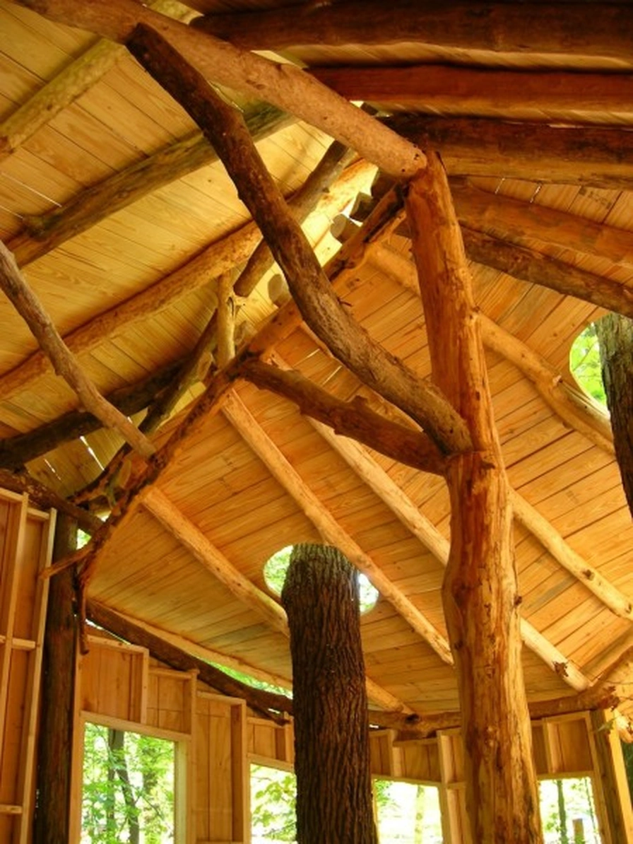 Everybody’s Treehouse, Mt. Airy Forest, Cincinnati