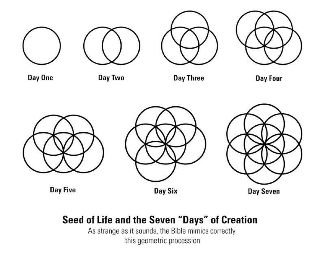 Black line diagram on white paper showing the Seed of Life pattern built in seven steps, labeled Day One to Day Seven, with the bold title "Seed of Life and the Seven 'Days' of Creation" below.