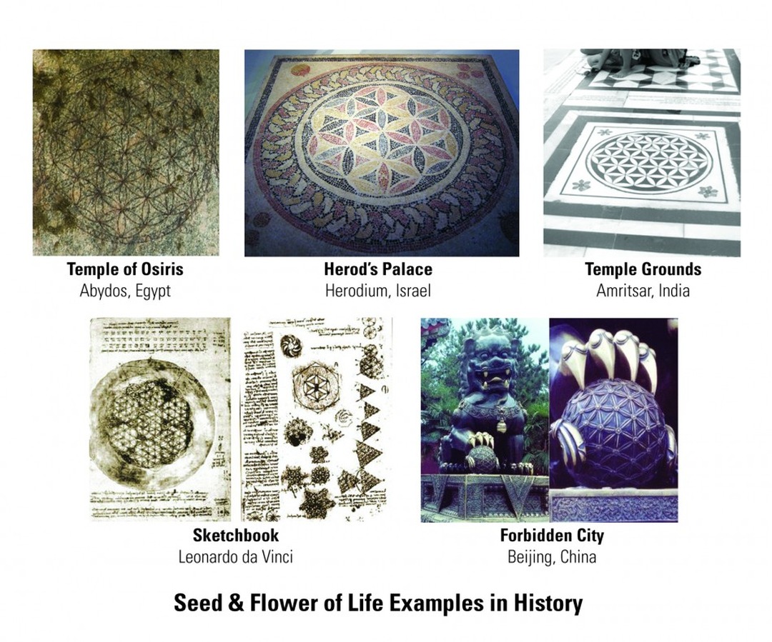 Dustin Pike, Seed and Flower of Life Examples. Image from AEQAI.