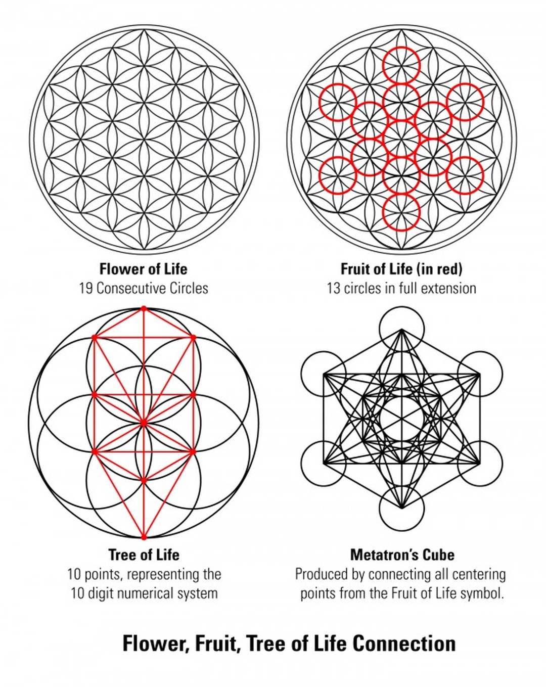 Dustin Pike, Flower, Fruit, and Tree of Life. Image from AEQAI.