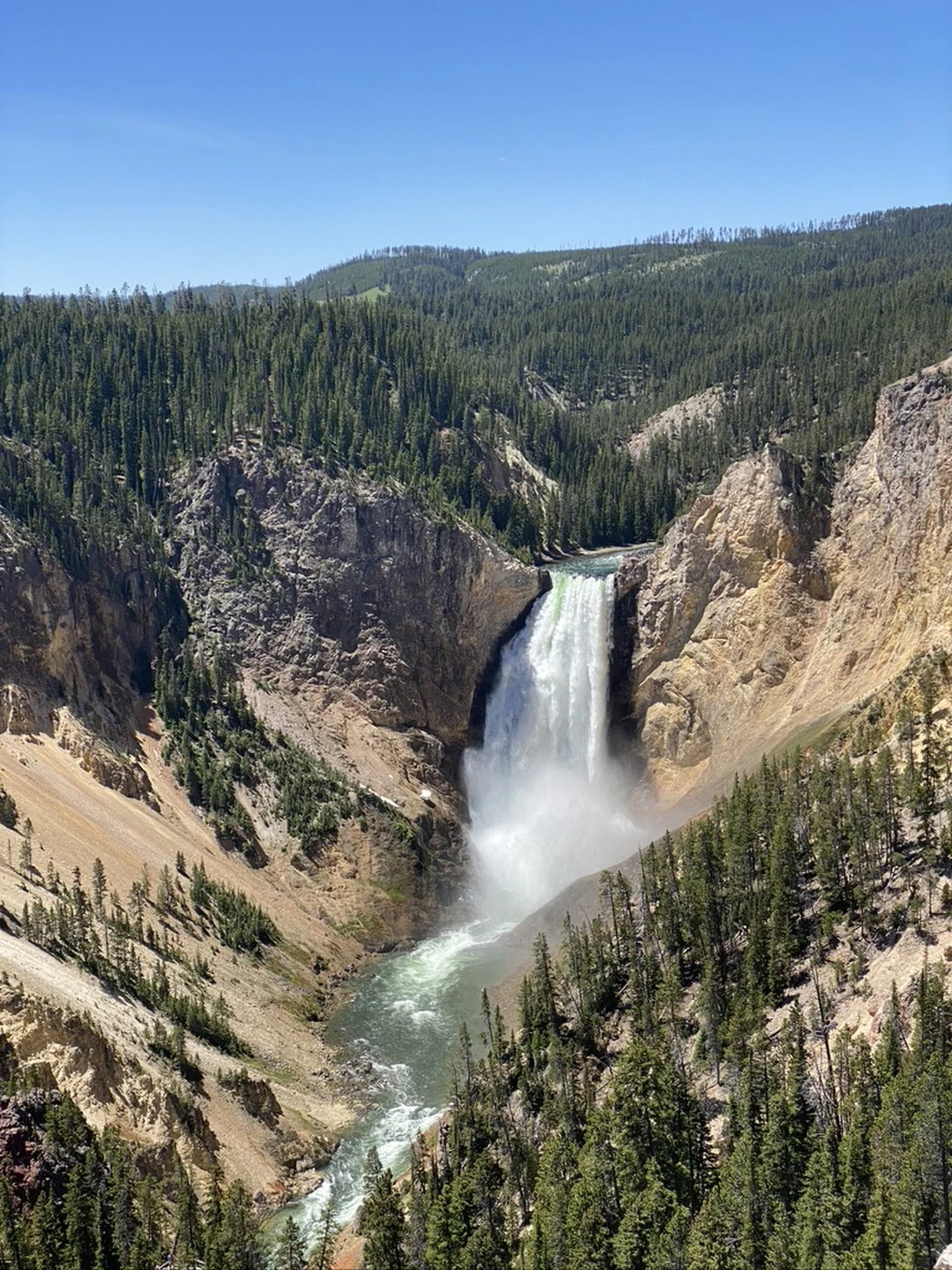 Lower Falls of the Yellowstone River plunging into the Grand Canyon of the Yellowstone.