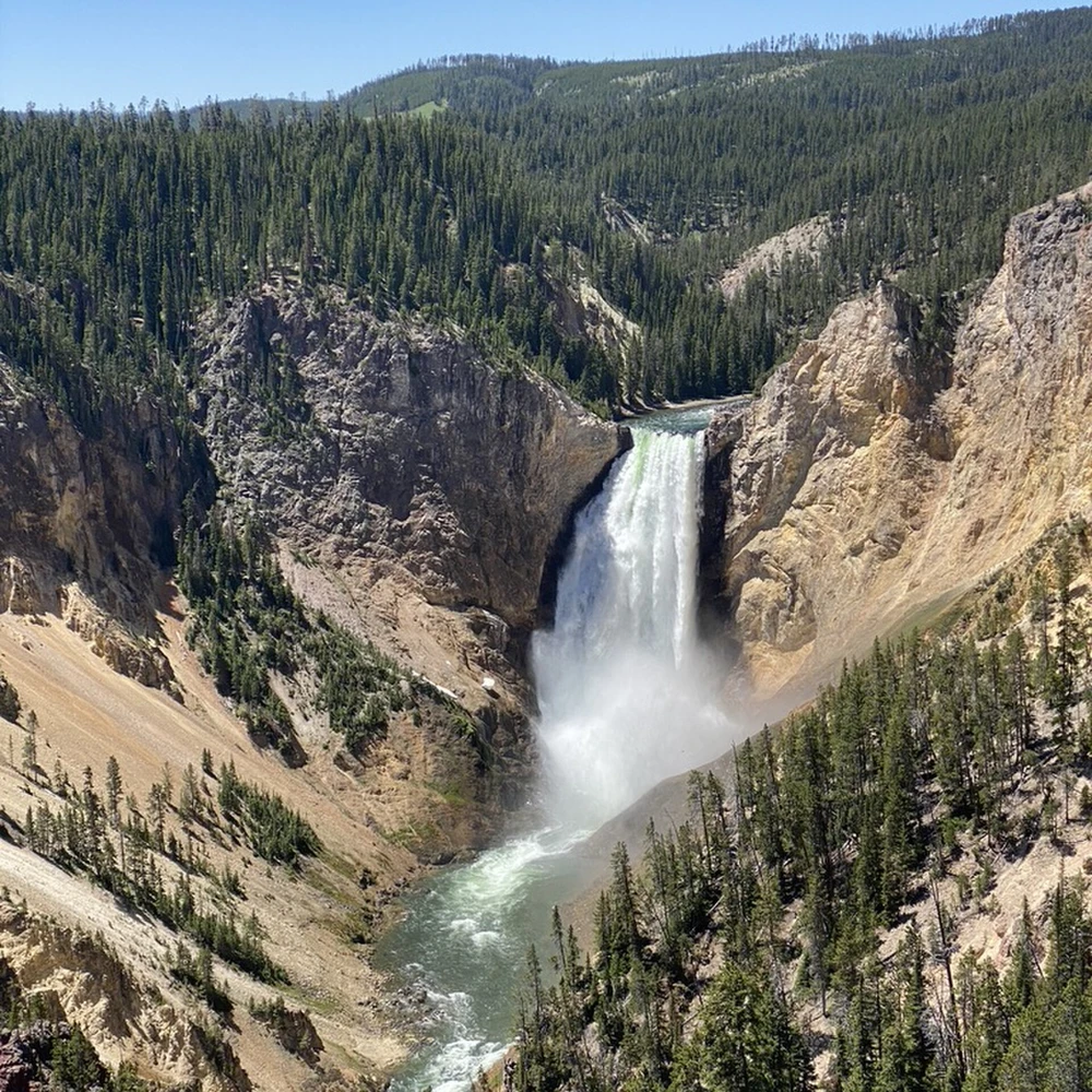 Lower Falls of the Yellowstone River plunging into the Grand Canyon of the Yellowstone.