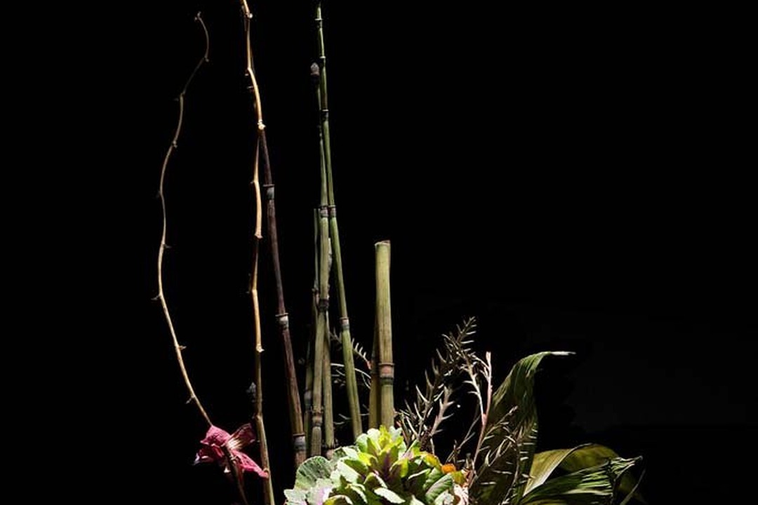 Tropical still life photograph with dark background by Emily Hanako Mamohara