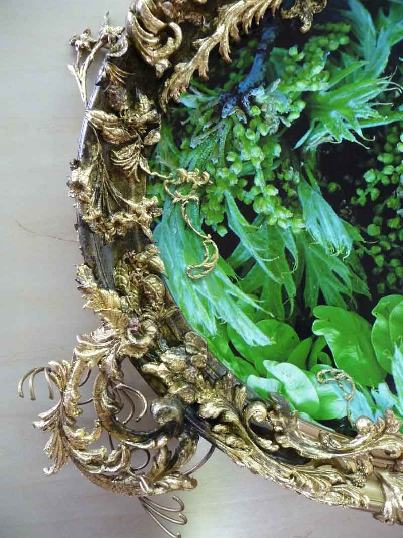 Foliate (detail), Celene Hawkins