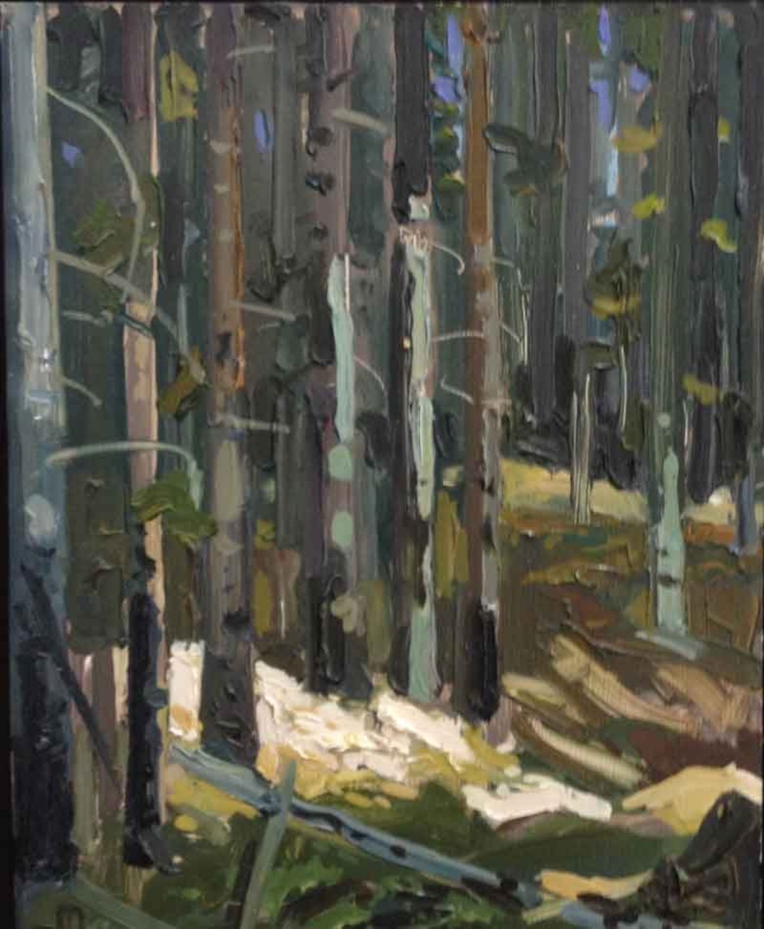Painting of slim tree trunks in a crowded forest touched by light from the side