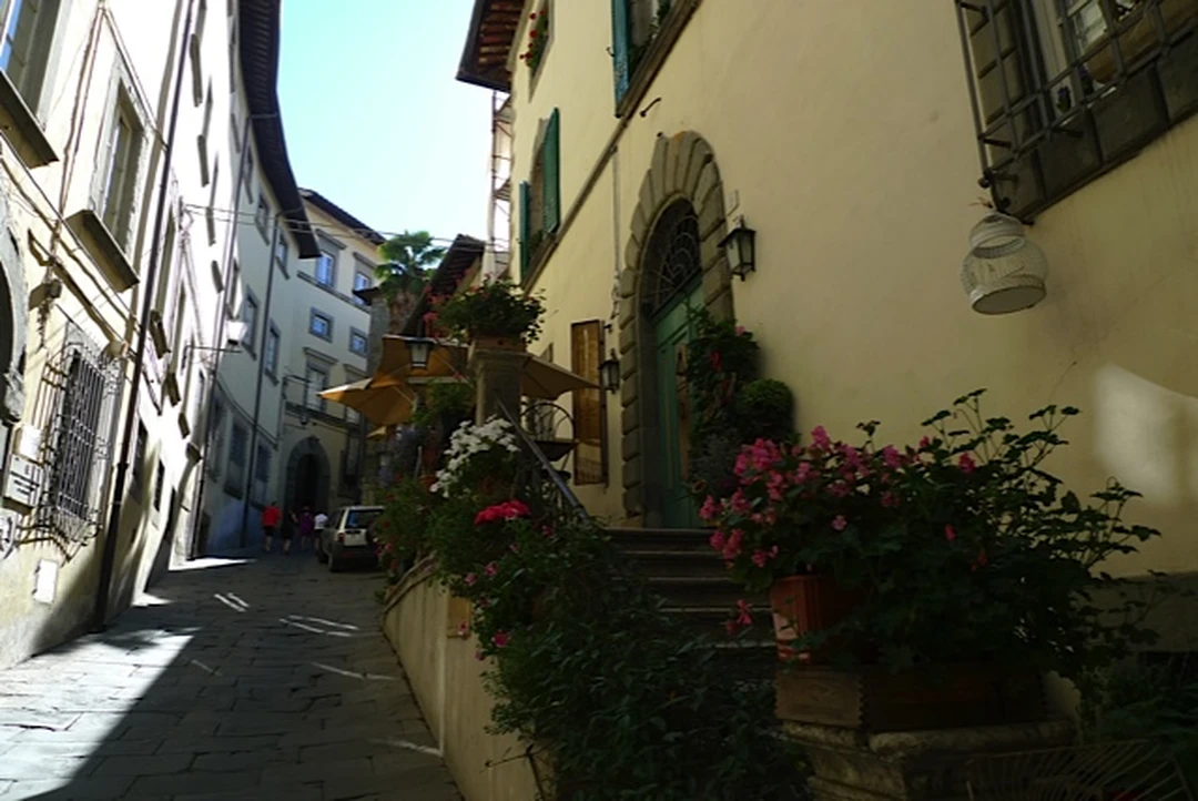 Steep cobbled street in Cortona climbing between old stone buildings, flowering plants on a wall in the foreground.